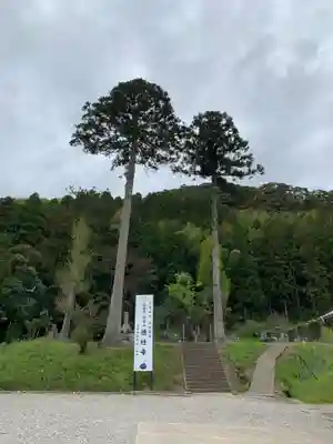 徳性寺のその他建物