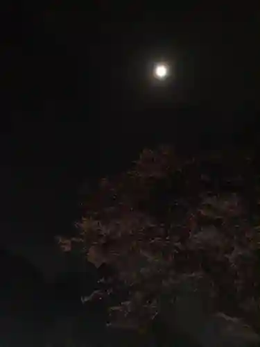 伏木香取神社の自然