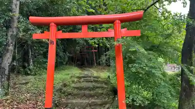 鹿児島神宮(鹿児島県)