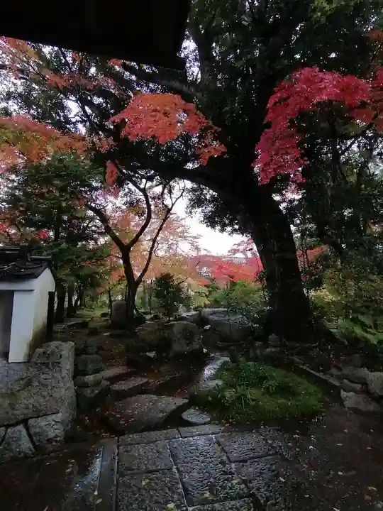 月山寺の庭園