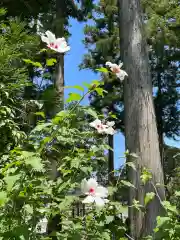 高麗神社の自然