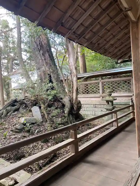 波多岐神社のその他建物