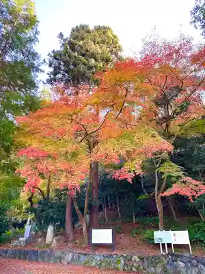 吸湖山 青岸寺(滋賀県)