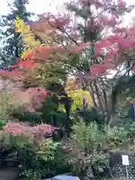 高尾山薬王院の庭園