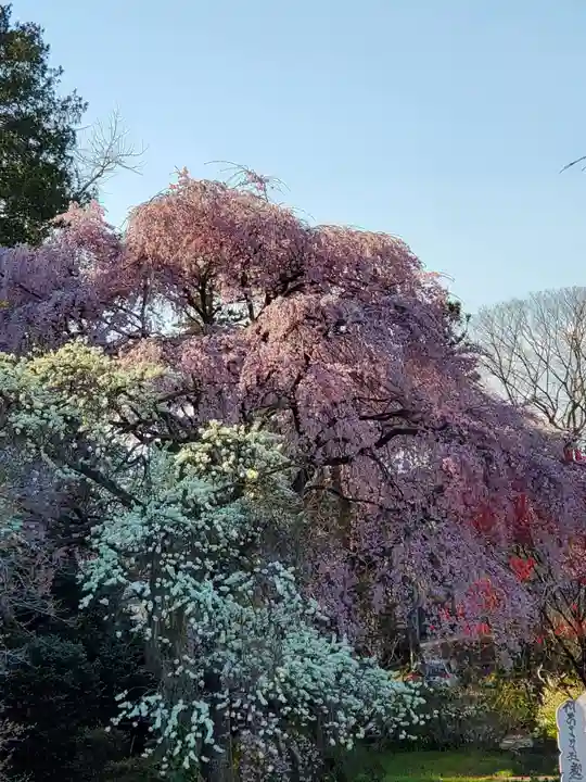 上合寺(福島県)