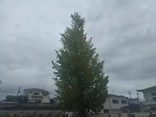 西方寺(大阪府)