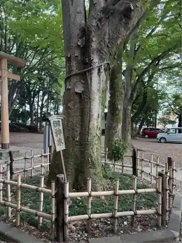 神明大神宮(神奈川県)