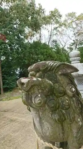 河内阿蘇神社の狛犬