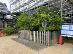 誉田八幡宮(大阪府)