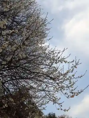 石内のお大師さん　金剛院(広島県)