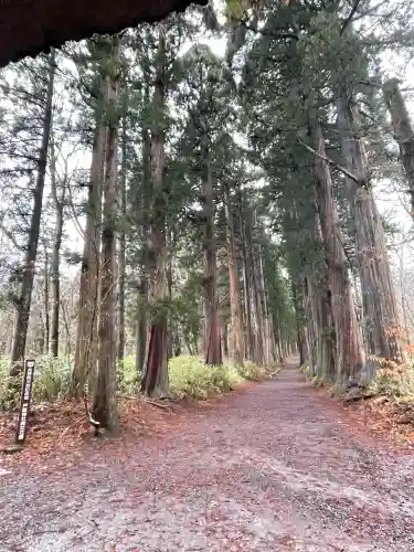 戸隠神社奥社(長野県)