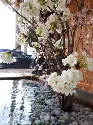 札幌諏訪神社の手水舎