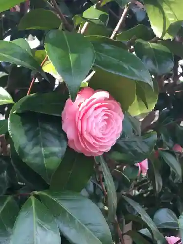 豊川稲荷東京別院の自然