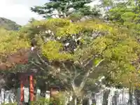 旗上弁財天社の自然