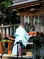 天鷹神社のお祭り