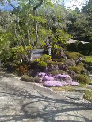 保寿寺(宮城県)