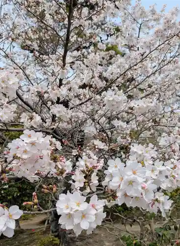 法金剛院(京都府)