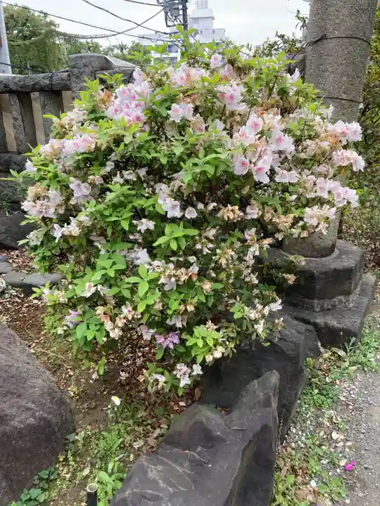 鳩森八幡神社(東京都)