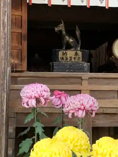 箭弓稲荷神社の狛犬