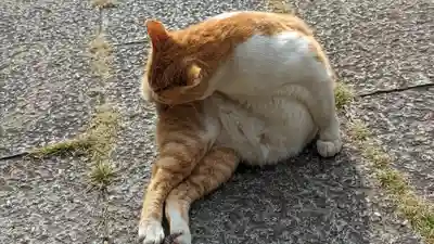 乗願寺(京都府)