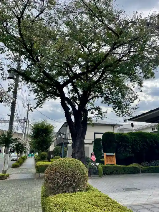泉龍寺別院(東京都)