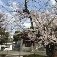 木場 洲﨑神社の自然
