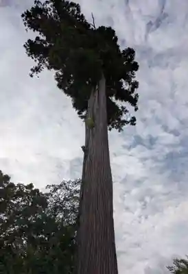 鶴峯八幡宮(千葉県)