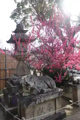 菅原天満宮(菅原神社)の狛犬