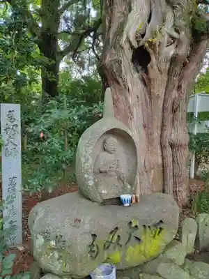 浄瑠璃寺(愛媛県)