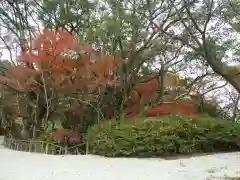 蒲生八幡神社の自然