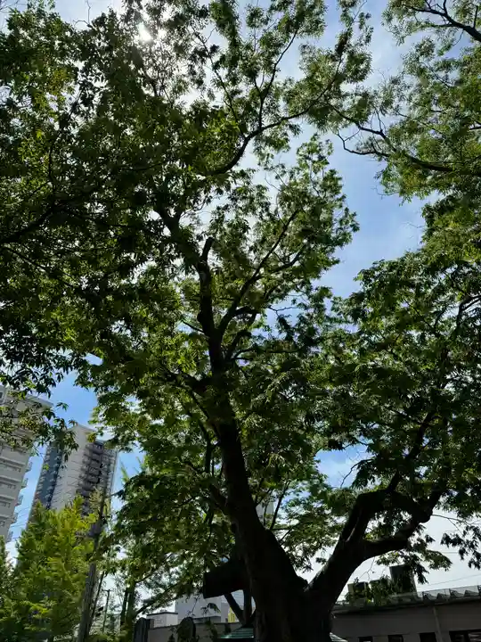 阿邪訶根神社(福島県)