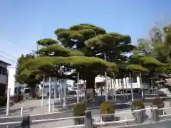 日保見山八幡宮の自然