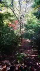 玉野御嶽神社の自然