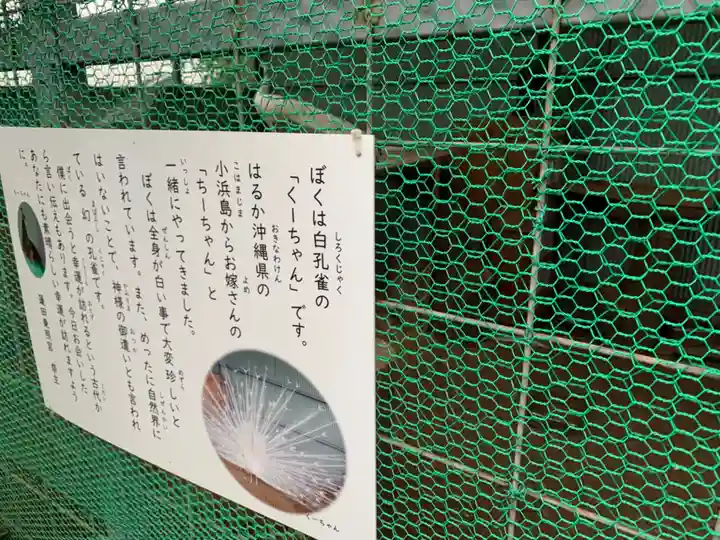 蓮田東照宮(埼玉県)