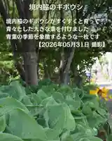 宝光寺(北海道)