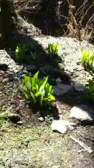 御岩神社の自然