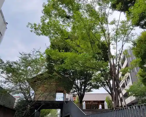 赤城神社のその他建物