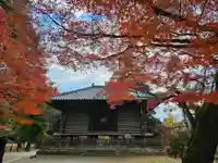 東大寺(奈良県)