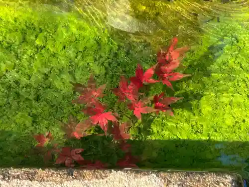 国宝 大法寺(長野県)