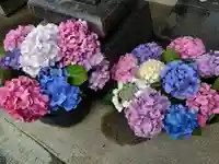 豊景神社のその他建物