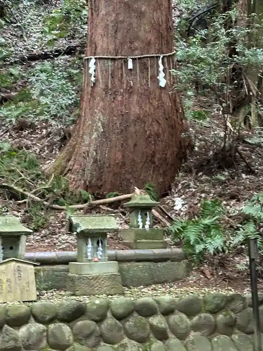 舟津神社(福井県)