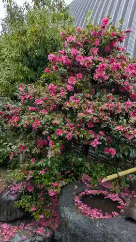 若宮宮(京都府)