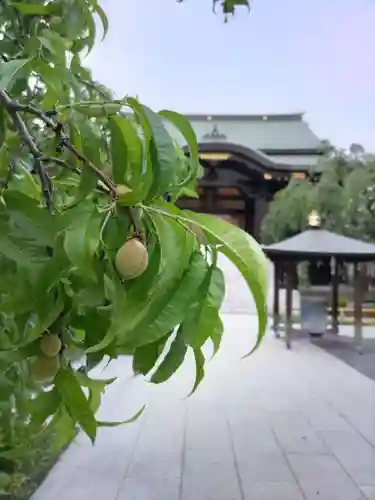 宝勝山　南藏院   蓮光寺の庭園