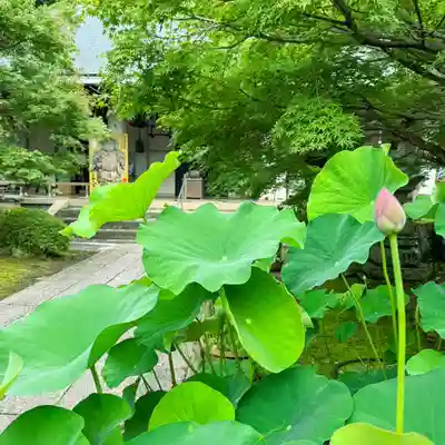 伊勢の国 四天王寺(三重県)