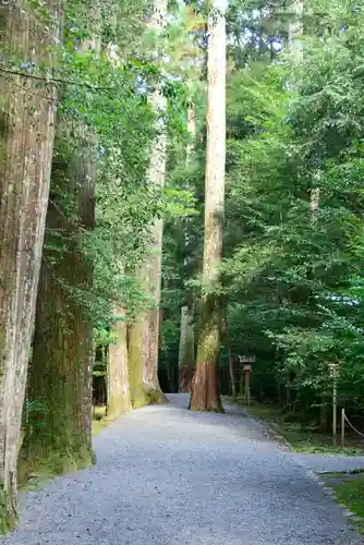 瀧原宮(皇大神宮別宮)の建物その他