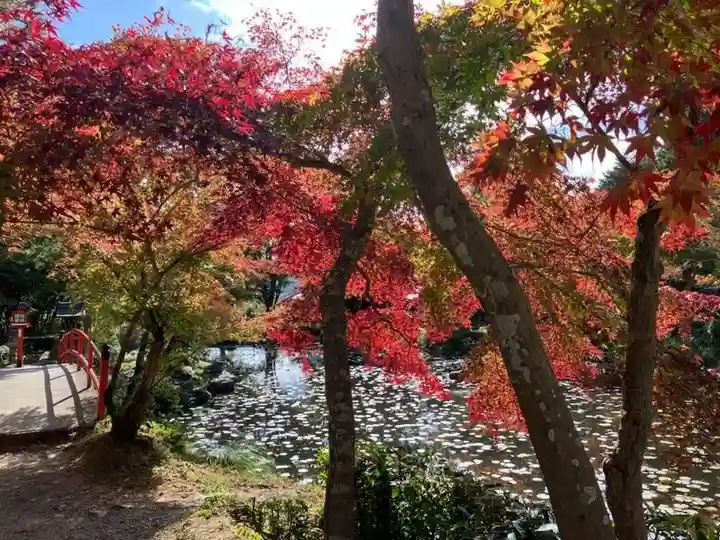 大原野神社(京都府)