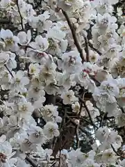 玉眞院玉川大師の庭園