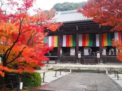 禅林寺(永観堂)(京都府)