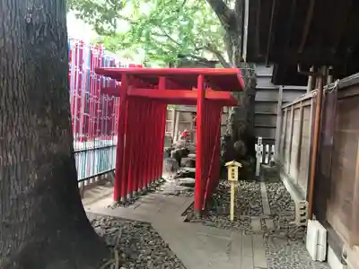 浅間神社（那古野浅間神社）の鳥居