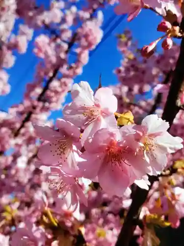 福蔵院(東京都)
